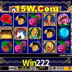 Experiência VIP Win222
